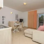 Ankica تْسْغيكفانِتْسا